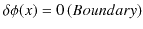 $\displaystyle \delta\phi(x)=0\,(Boundary)$