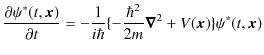 $\displaystyle \dfrac{\partial\psi^{*}(t,\bm{x})}{\partial t}=-\dfrac{1}{i\hbar}\{-\dfrac{\hbar^{2}}{2m}\bm{\nabla}^{2}+V(\bm{x})\}\psi^{*}(t,\bm{x})$