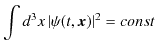 $\displaystyle \int d^{3}x\,\vert\psi(t,\bm{x})\vert^{2}=const$