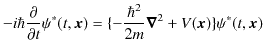 $\displaystyle -i\hbar\dfrac{\partial}{\partial t}\psi^{*}(t,\bm{x})=\{-\dfrac{\hbar^{2}}{2m}\bm{\nabla}^{2}+V(\bm{x})\}\psi^{*}(t,\bm{x})$