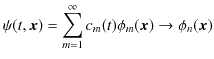 $\displaystyle \psi(t,\bm{x})=\sum_{m=1}^{\infty}c_{m}(t)\phi_{m}(\bm{x})\to\phi_{n}(\bm{x})$